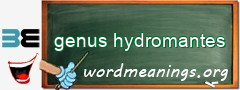 WordMeaning blackboard for genus hydromantes